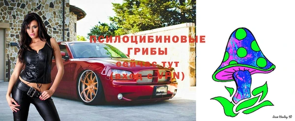apvp Балахна