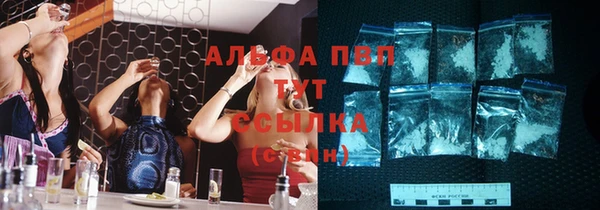 твердый Арсеньев