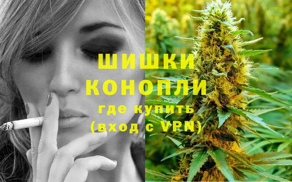 ГАЛЛЮЦИНОГЕННЫЕ ГРИБЫ Баксан